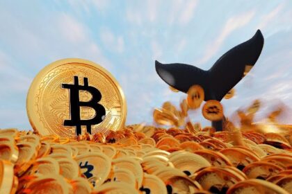 Whale shifts the position of Bitcoin – this is an analyst at the level that says BTC doesn’t fall down