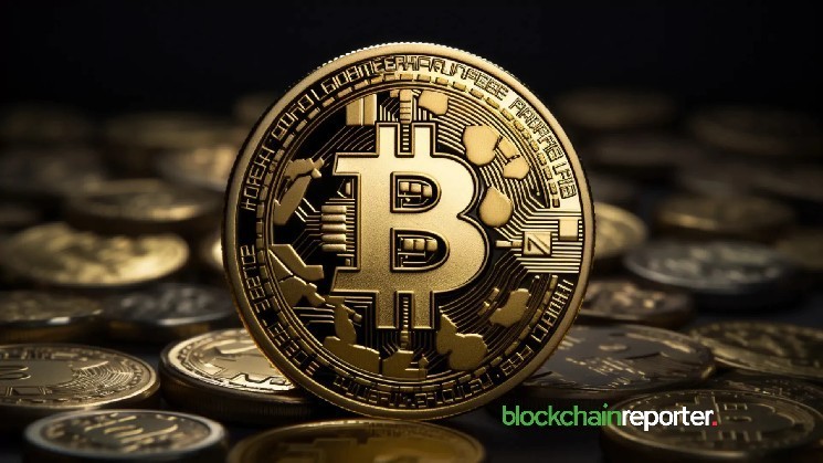 B2 Network and Ploom Network Bridge Bitcoin and RWAS