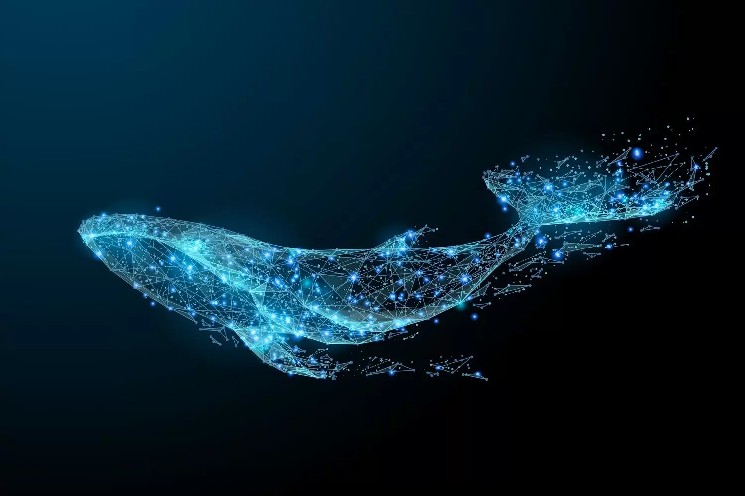 Giant whales buy this altcoin in bulk: become the second largest owner