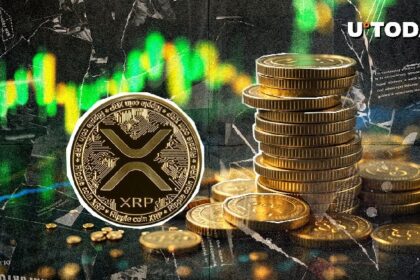 XRP holders have urged to mark a calendar for this date