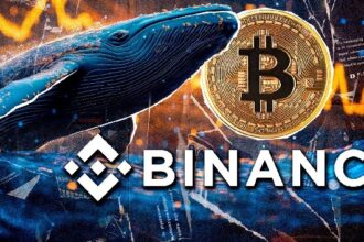 0 million in Bitcoin has moved in Crypto Market Retreat