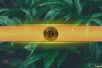 Bitcoin prices are 0,000 ahead of US-China trade talks