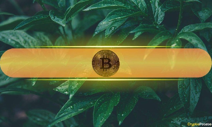 Bitcoin prices are 0,000 ahead of US-China trade talks