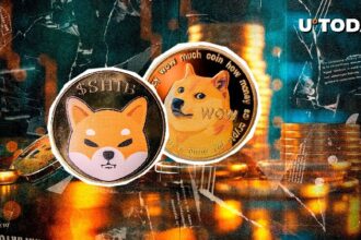 Shiba Inu (Shib), loses value amid indifference in the Dogecoin (Doge) market