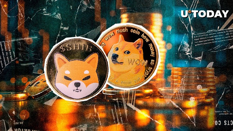Shiba Inu (Shib), loses value amid indifference in the Dogecoin (Doge) market