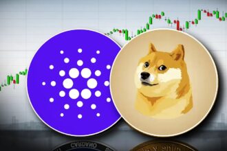 Ada’s  Moment, Doge’s  a day: Closer than you think
