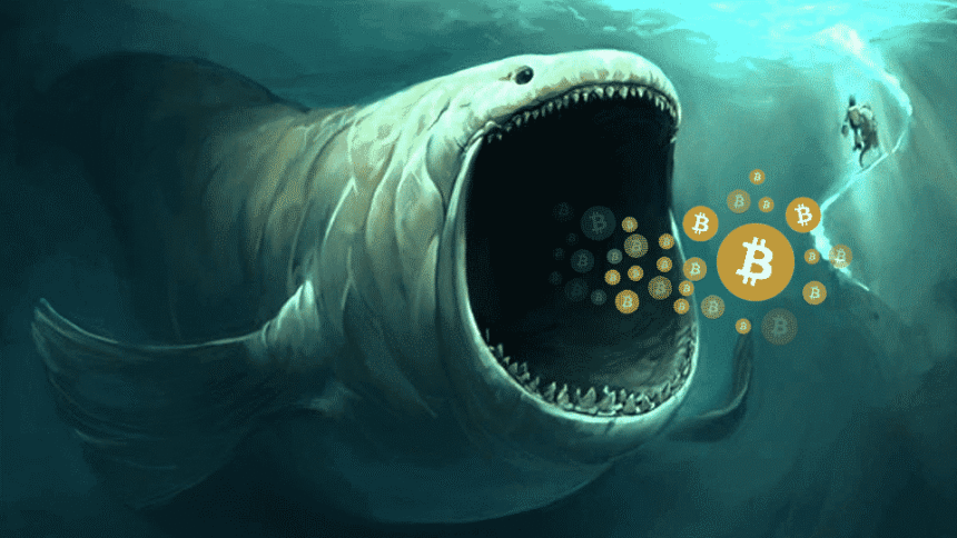 What happened to Bitcoin Zilla, which opened a short position with a billion dollars in length?