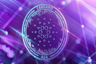 Cardano recovers 20% in a week:  may be nearby