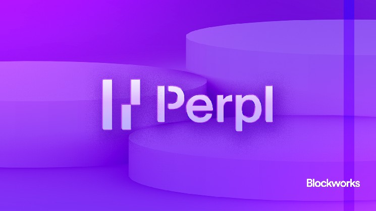 Perpl raises .5 million to build from Dragonfly on Monad