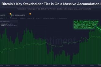 Bitcoin’s major investors double down and buy another 79,000 BTC