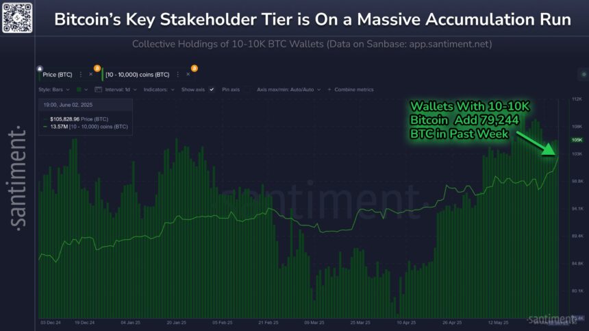 Bitcoin’s major investors double down and buy another 79,000 BTC
