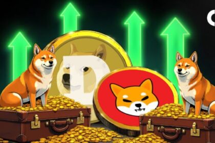 Memecoin surges as Crypto Market Rally’s top game: Messari data