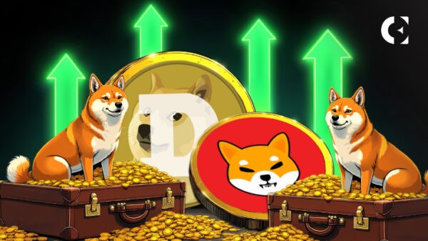 Memecoin surges as Crypto Market Rally’s top game: Messari data