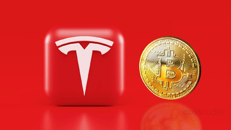 How much Bitcoin does Tesla own in 2025? What the numbers revealed about Tesla’s Crypto Play