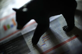 Bitcoin Bear takes the wheel – why ,000 may be the next important zone