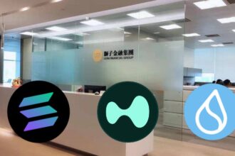 The company borrows for 0 million to buy Sol, Sui and hype