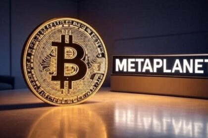 Metaprenet has more bitcoin than Tesla
