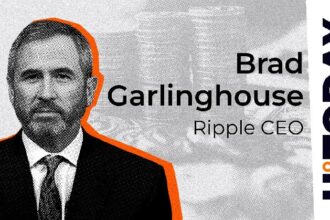 Ripple CEO breaks silence with the company’s academic blockchain vision