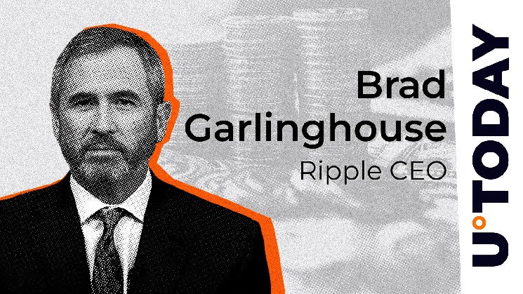 Ripple CEO breaks silence with the company’s academic blockchain vision