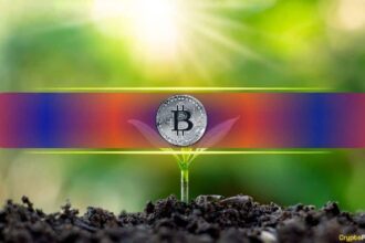 A BTC below 1 may be enough to retire: Why is it here?