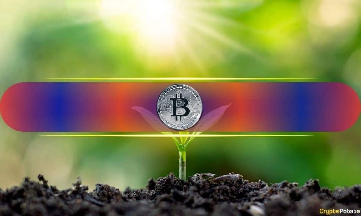 A BTC below 1 may be enough to retire: Why is it here?