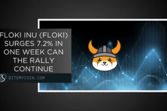 Floki inu (floki) surges by 7.2% in a week. The meeting can continue