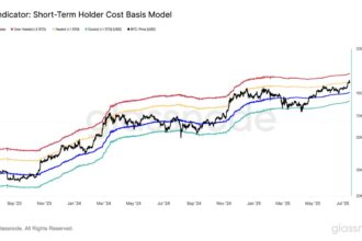 If momentum is retained, Bitcoin’s next key level is 6,000, GlassNode says