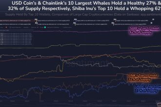 Sibainu is the most centralized supply of top coins – 62% held by only 10 whales