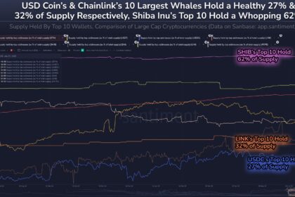Sibainu is the most centralized supply of top coins – 62% held by only 10 whales
