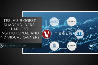 Tesla’s biggest shareholders in 2025: institutions and private owners
