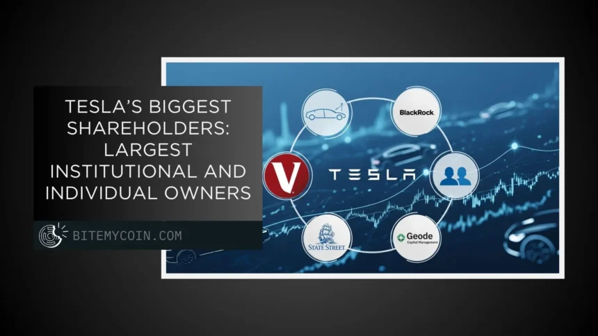 Tesla’s biggest shareholders in 2025: institutions and private owners
