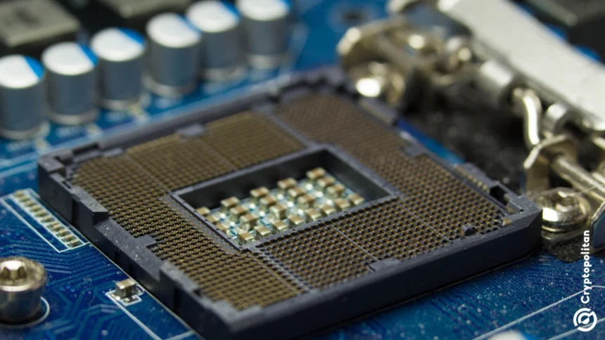 The arm opens the door to building your own chip after disappointing quarterly numbers