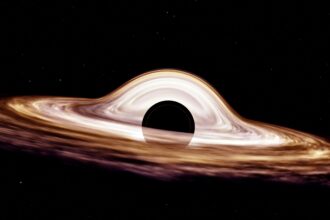 Metaplanet just bought 800 bitcoin and is not finished yet
