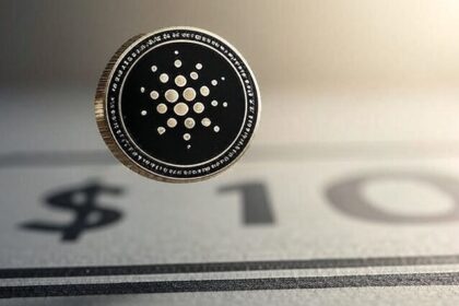 “A  Cardano is Real”: Dan Gambaldello