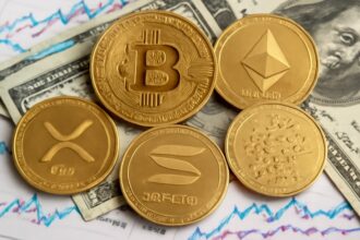 Highly likely to be approved by Bitcoin ETF, Ethereum, XRP, Solana, Cardano