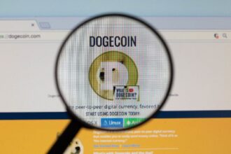 DogeCoin can quickly verify ZK proofs natively thanks to DoGeos Push