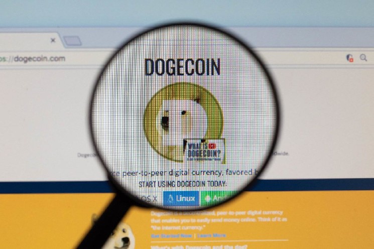 DogeCoin can quickly verify ZK proofs natively thanks to DoGeos Push