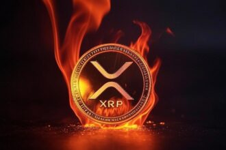 XRP faces final resistance before the maximum value of history