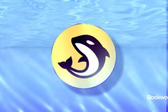 Orca Dex plans to buy back and token staking