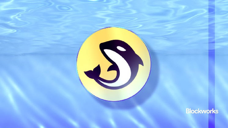 Orca Dex plans to buy back and token staking Orca Dex plans to buy back and token staking