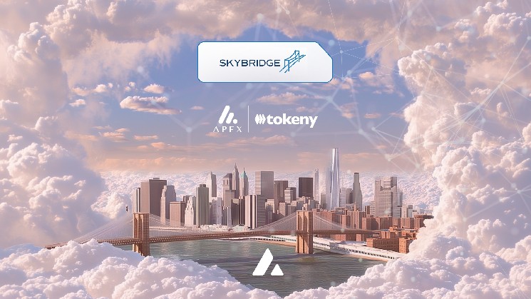 Skybridge Capital is a token and partner, tokenizing 0 million in avalanche hedge funds