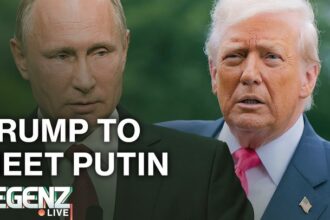 Crypto falls after PPI, giant liquidation, Trump Putin