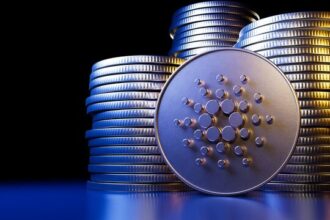Cardano marks a historic milestone in the governance poll, and Hoskinson responds