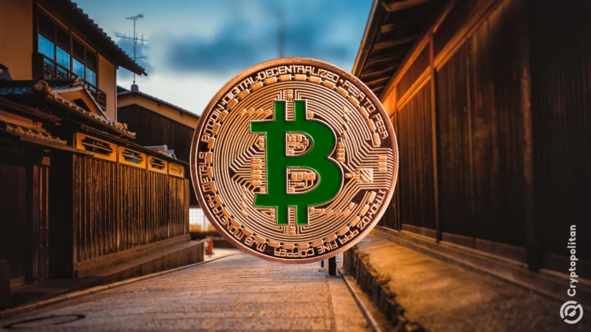 Japanese nail salons move to become the main Bitcoin holder