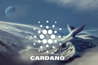 Whale Surge, a Bright Future: Why Cardano should be on your purchase list