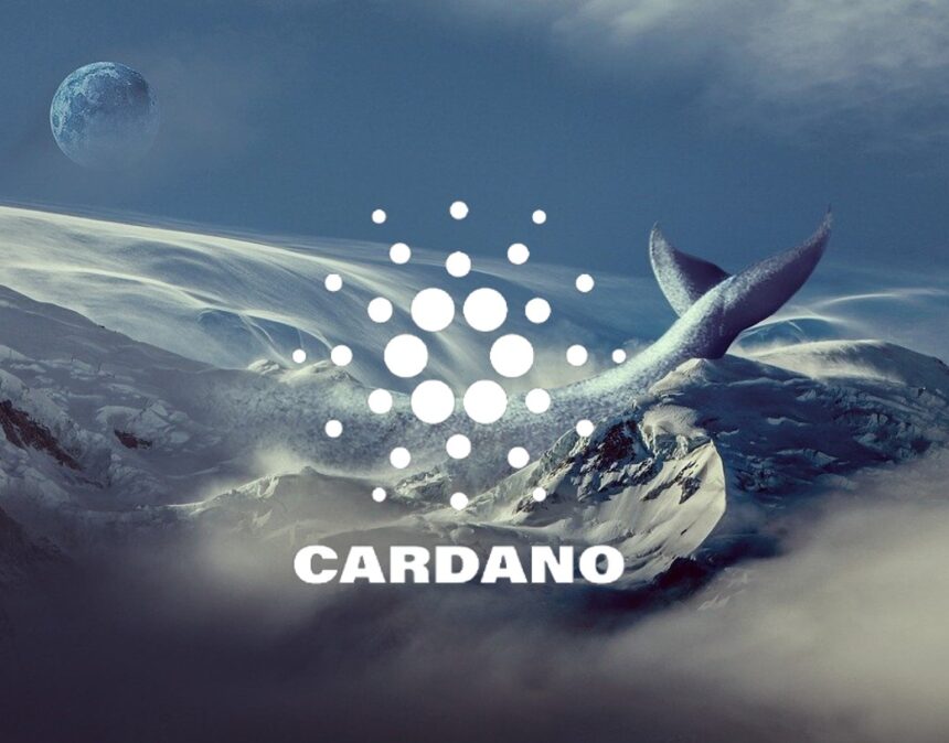 Whale Surge, a Bright Future: Why Cardano should be on your purchase list