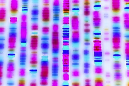 Optimism taps flashbot to supercharge OP stack sequences