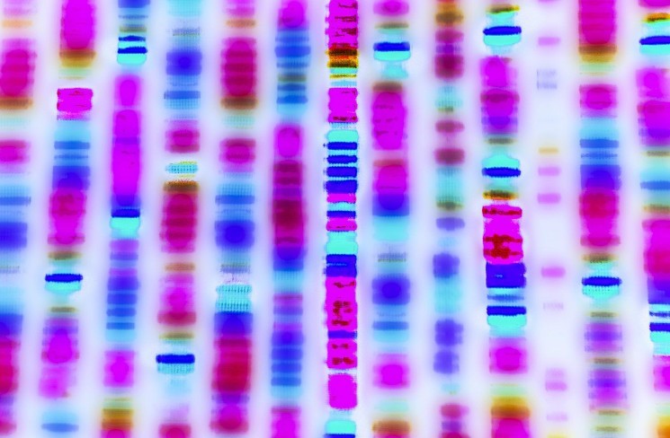 Optimism taps flashbot to supercharge OP stack sequences