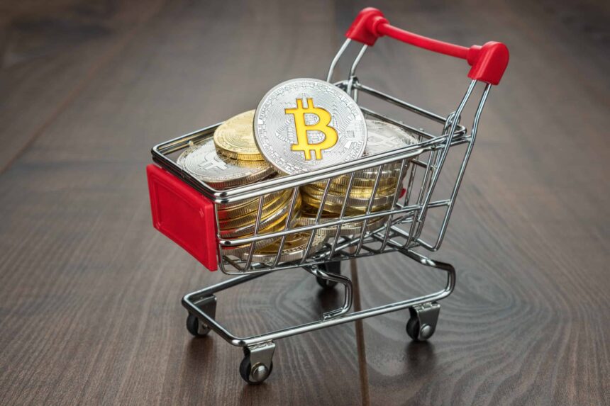 Is Bitcoin forever? Michael Saylor predicts 20 years of 30% profit