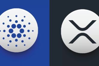 Cardano (ADA) founder Charles Hoskinson meets Ripple CEO Brad Gerlinghouse – here’s more details